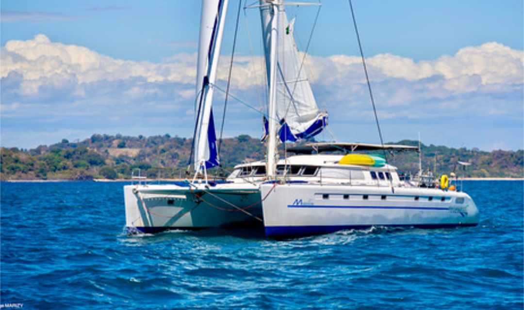 Croisière plongée à Nosy Be et découvrez les fonds marins Madagascar. À bord du catamaran Turquoise, explorez les spots mythiques de l’île.