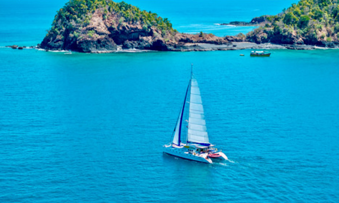 Croisière plongée à Nosy BeEmbarquez pour une aventure subaquatique inoubliable à bord de Turquoise , notre catamaran spécialement conçu.